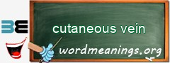 WordMeaning blackboard for cutaneous vein